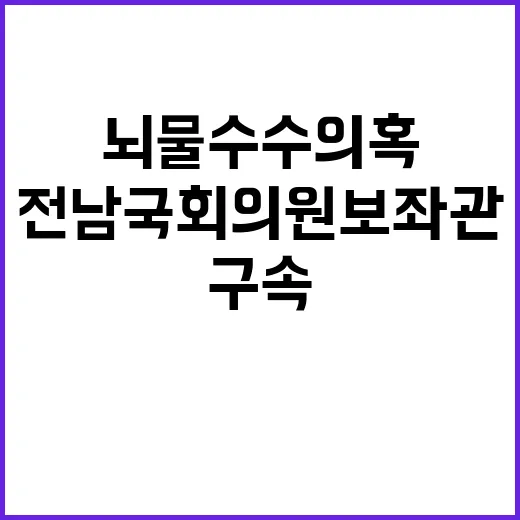 전남 국회의원 보좌관 뇌물수수 의혹으로 구속 위기!