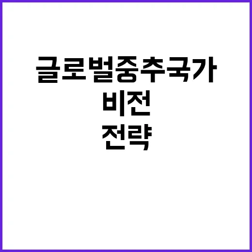 비전 글로벌 중추국…