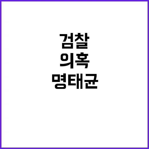 명태균 의혹 불러일…