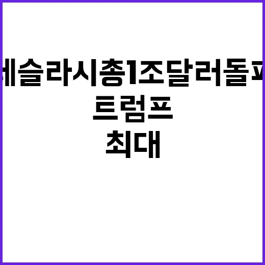 테슬라 시총 1조달…