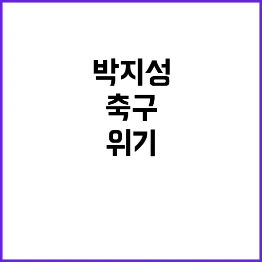 박지성 축구협회 신…