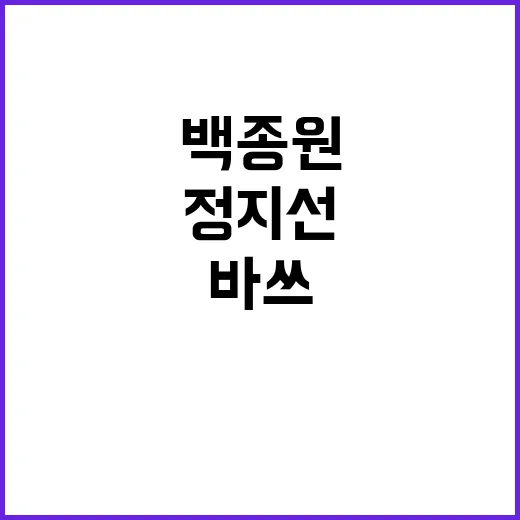 백종원 논란 정지선…