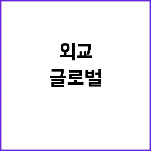 외교 확장 글로벌 …