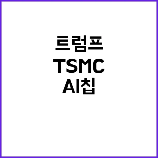 TSMC AI칩 중국 공급 중단 결정 트럼프 영향?