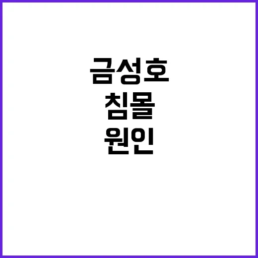 금성호 침몰 과다어…