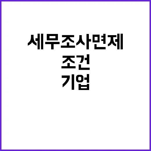 기업 혜택 세무조사…