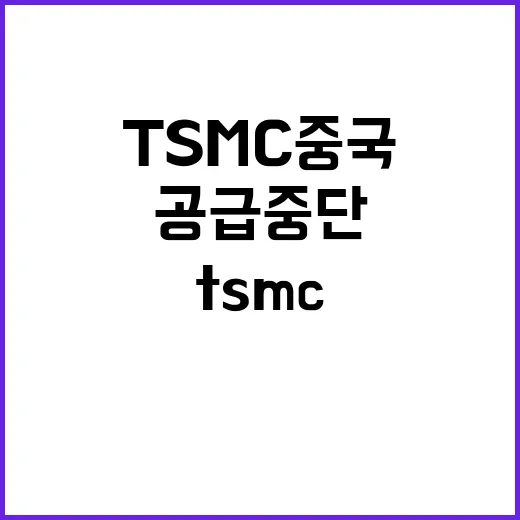 TSMC 중국 공급 중단 미국 최우선 정책!