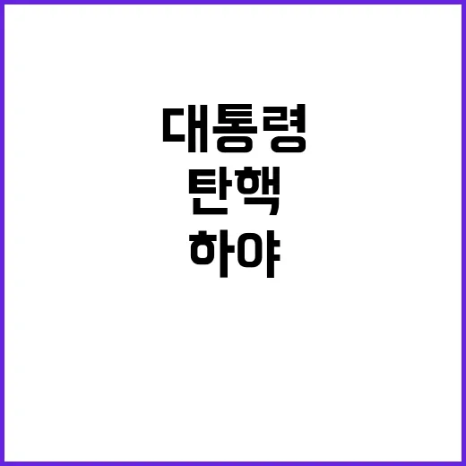 조국의 도전 윤 대…