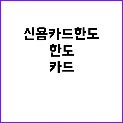 신용카드 한도 축소…