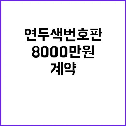 연두색 번호판 80…