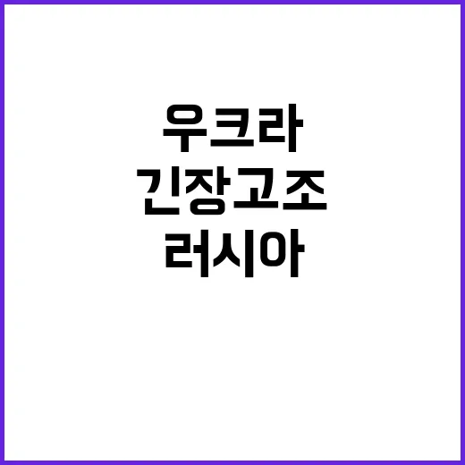 우크라 드론 러시아…