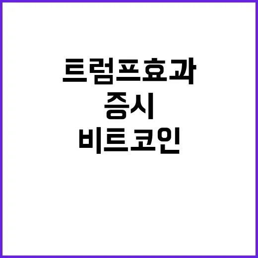 비트코인·증시 활황…