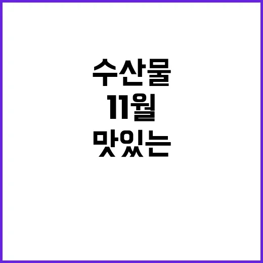 11월 수산물 건강…