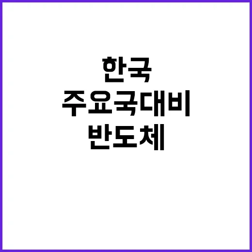 반도체 지원 한국의…