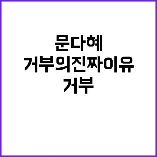 문다혜의 비밀 출장 거부의 진짜 이유는?