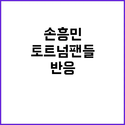 손흥민 사과 감독의…