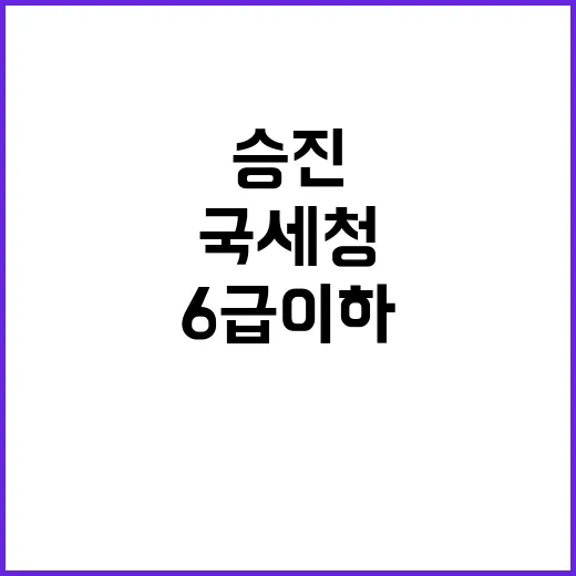 국세청 승진 대잔치 6급 이하 1599명 변동!