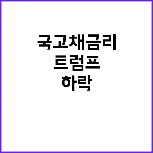 국고채 금리 하락 …