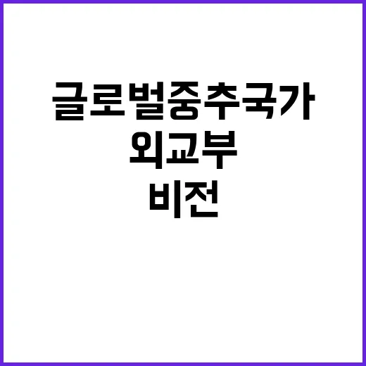 글로벌 중추국가 자…