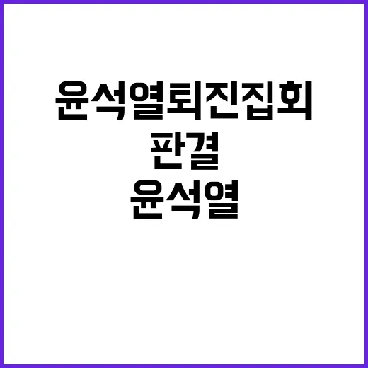 윤석열 퇴진 집회 법원 판결과 참가자들의 운명