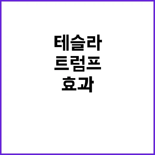 테슬라 쇼크 트럼프…