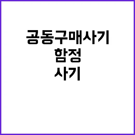 공동구매 사기 수수…