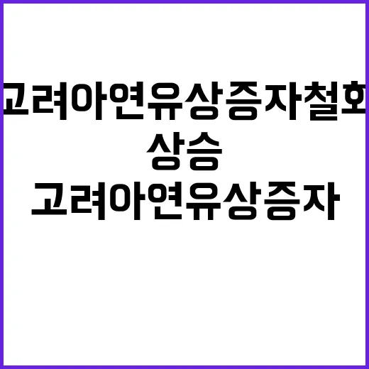 고려아연 유상증자 …