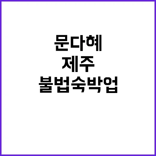 제주 불법 숙박업 …