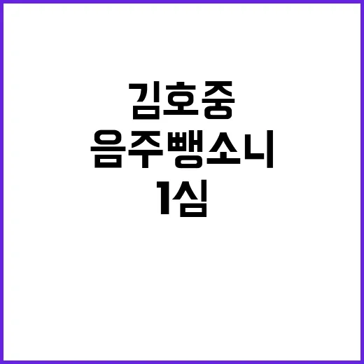 김호중 음주 뺑소니…