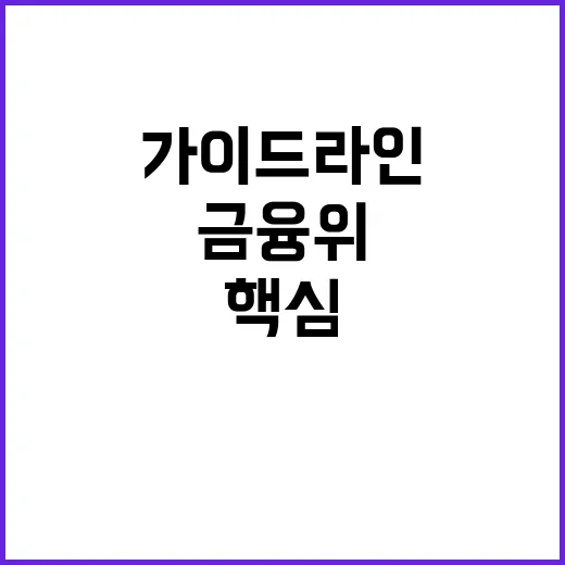 금융위 가이드라인 …