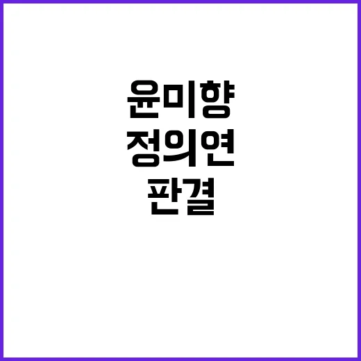 윤미향 판결 정의연…