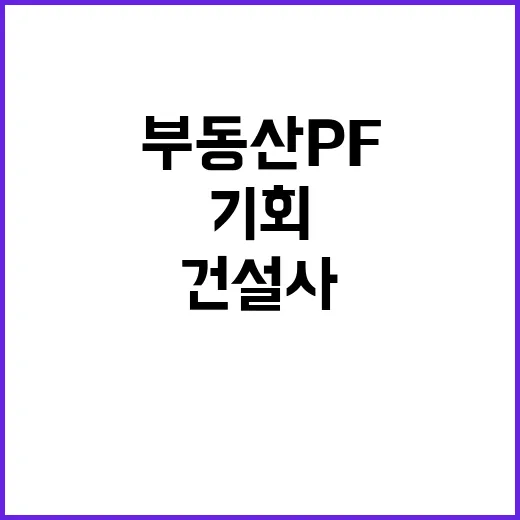 부동산 PF 선진국…