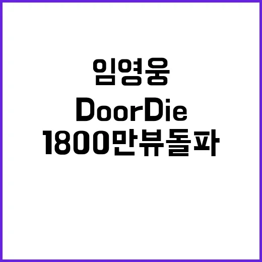 임영웅 Do or …