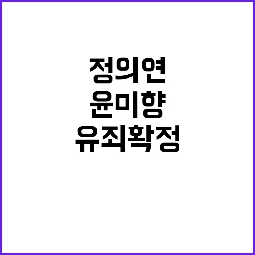 윤미향 유죄 확정 …