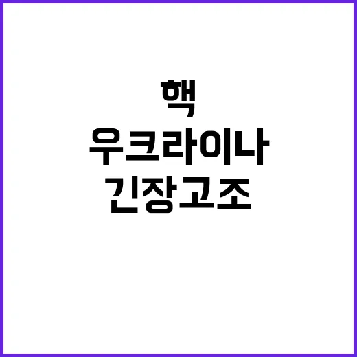 우크라이나 핵 손길…