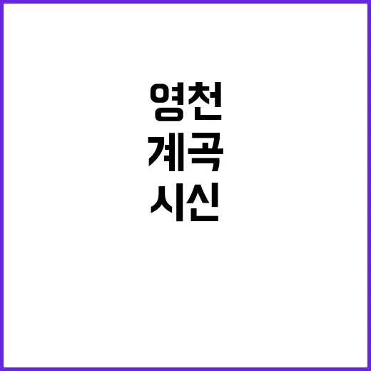 영천 계곡 미스터리…