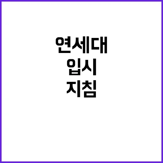 교육부 지침 연세대…