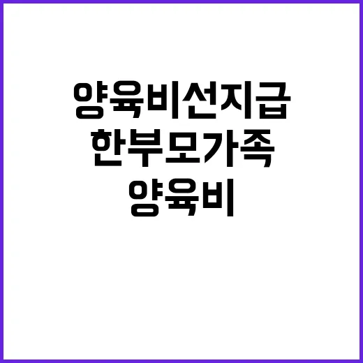 양육비 선지급 한부…