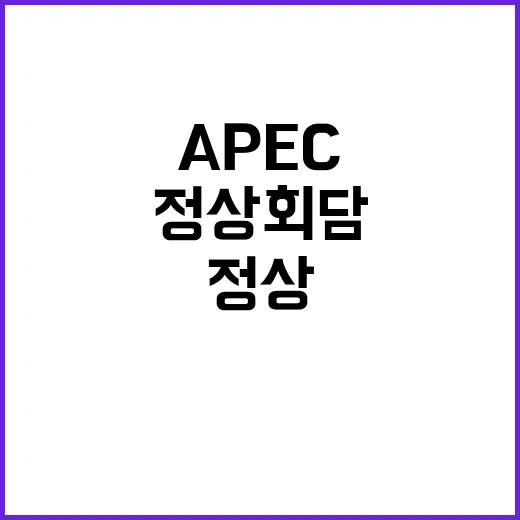 APEC 페루의 한…