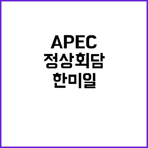 APEC 정상회담 …