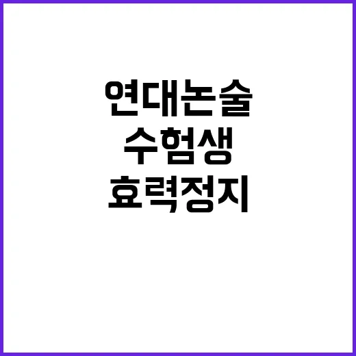 연대 논술 효력정지…