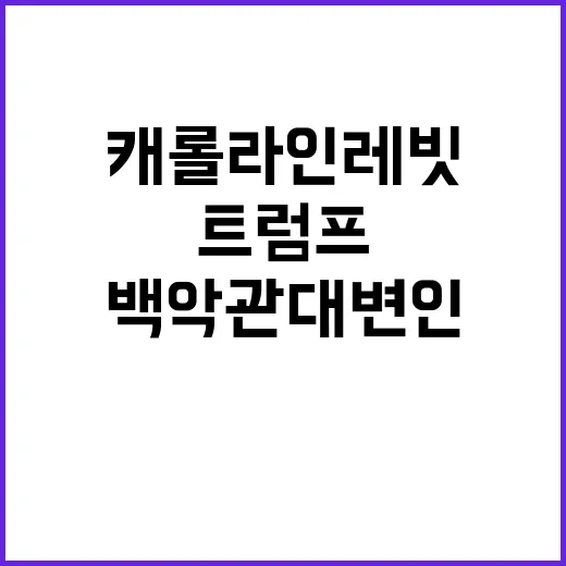 트럼프 백악관 대변…