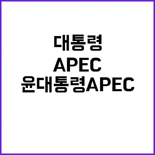 윤 대통령 APEC…