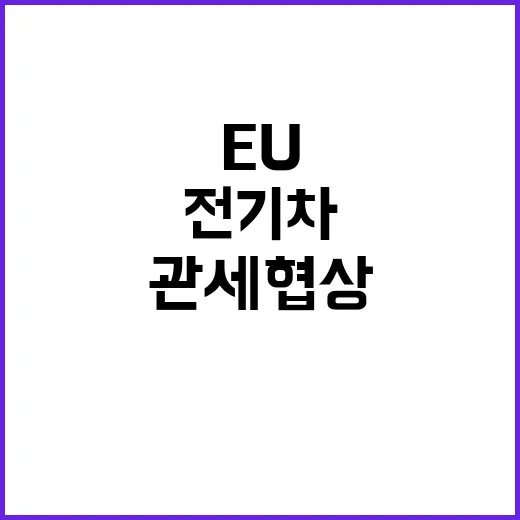 중국산 전기차 EU…