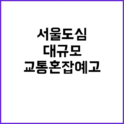 서울 도심 대규모 …