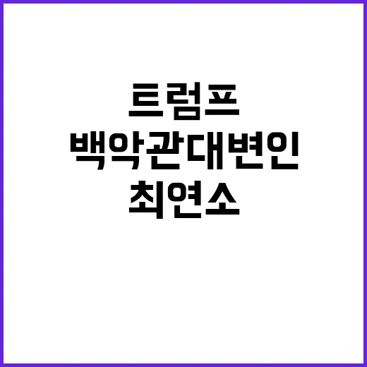 트럼프 백악관 대변…