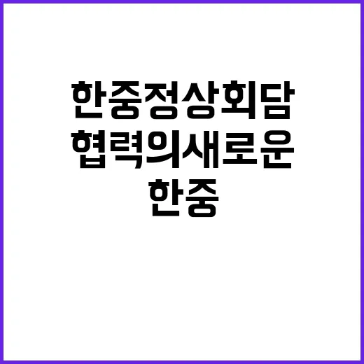 한중 정상회담 전략…