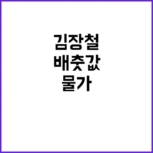 배춧값 대폭 하락 …