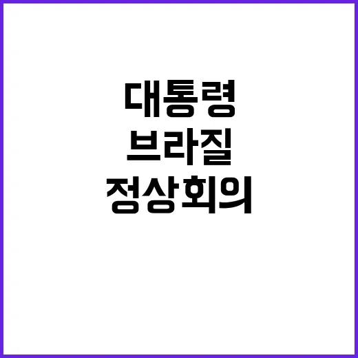 유엔 정상회의 한국 대통령의 브라질 방문 