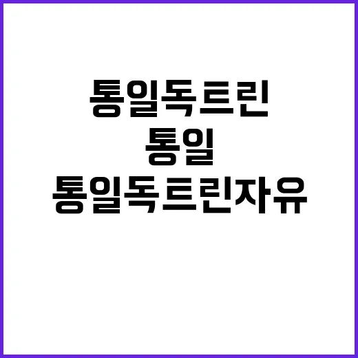 통일 독트린 자유민…